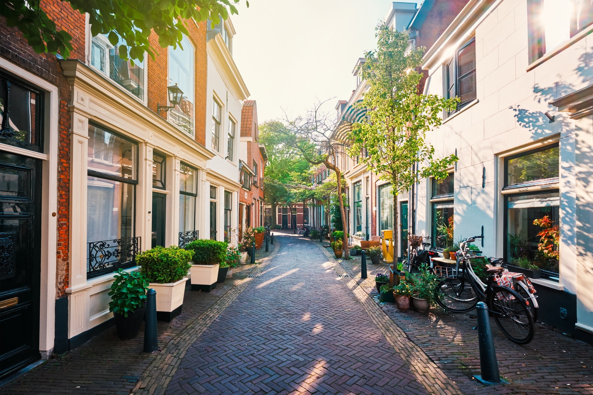 Aantrekkelijke woningen in een gezellig straatje van Utrecht om te verhuren.